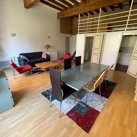 Apartment Bel Au Coeur De Toulouse