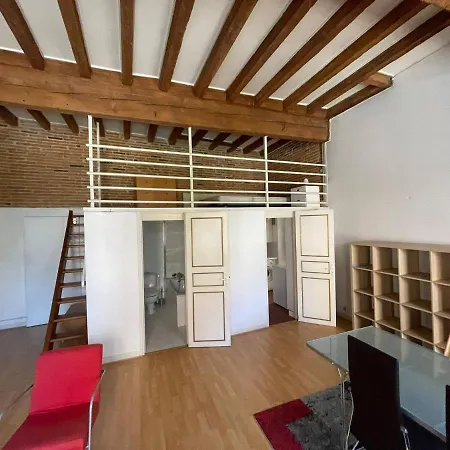 Bel Au Coeur De Toulouse
