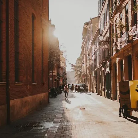 Bel Au Coeur De Toulouse